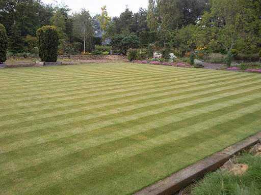 Landscaping